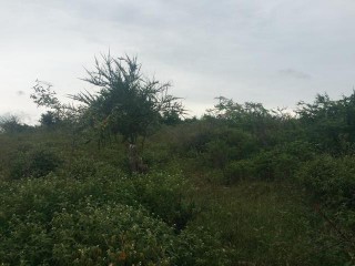 MLS 27821 BEACON TREASURE BEACH, St. Elizabeth, Jamaica - Residential lot for Sale